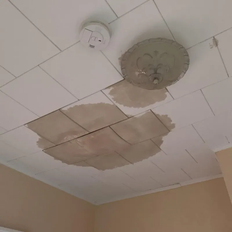 Ceiling Water Damage Repair in Connersville, IN