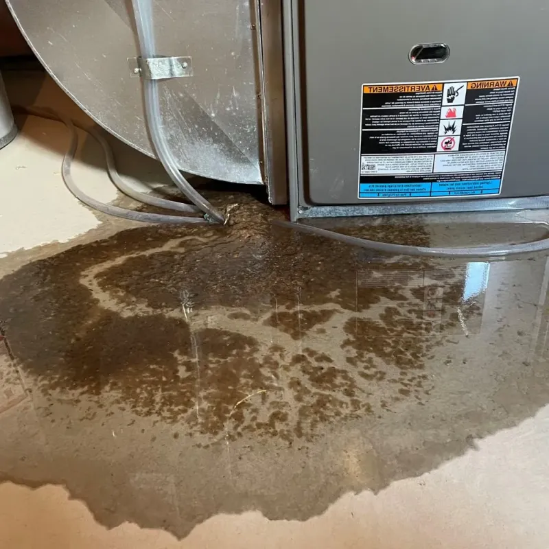 Pipe Burst and Leak Restoration in Connersville, IN