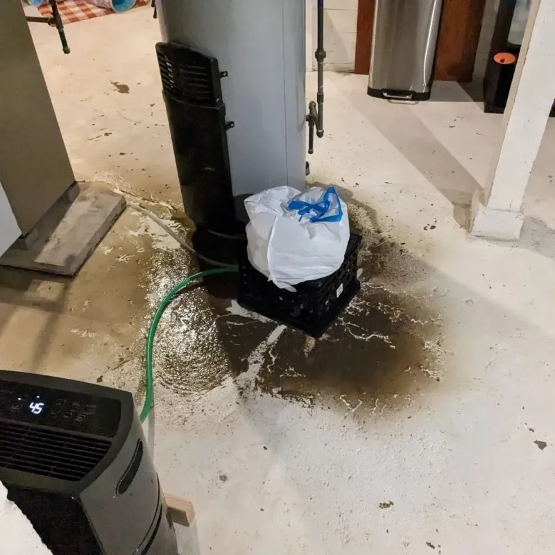 Sewage Backup Cleanup Service in Connersville, IN